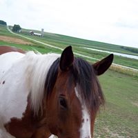 Joe Swanson Photo 27