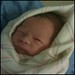 Matthew Vogel Photo 35