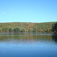 Pattie Brown Photo 22