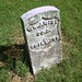 William Wise Photo 23