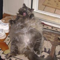 Shannon Burris Photo 12