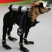 Reggie Jackson Photo 37