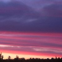 Carrie Bradley Photo 17