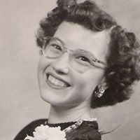 Nancy Willis Photo 6