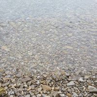 Anne Mcbride Photo 22