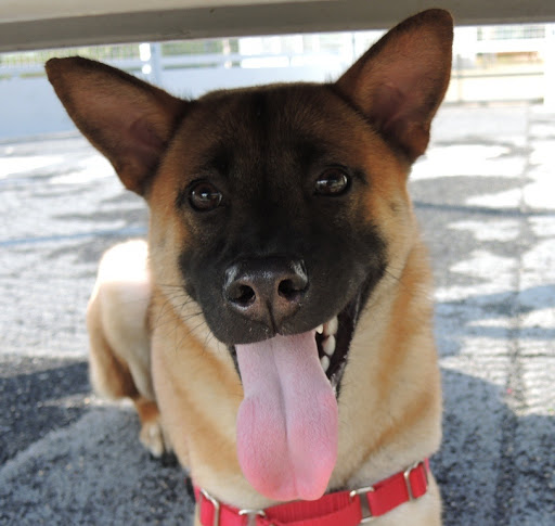 Monica Cheng Photo 10