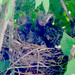 Richard Cardinal Photo 19