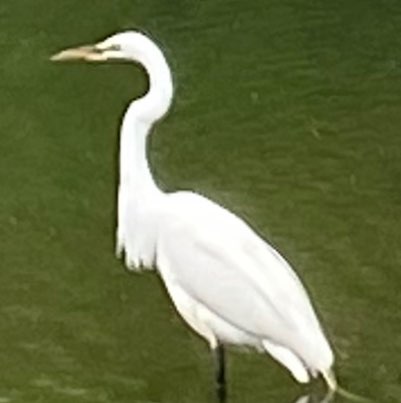 Stephanie Strong Photo 16