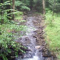 Sammy Arnold Photo 9