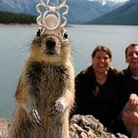 Shellie Cummins Photo 3