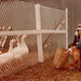 Jason Winters Photo 30