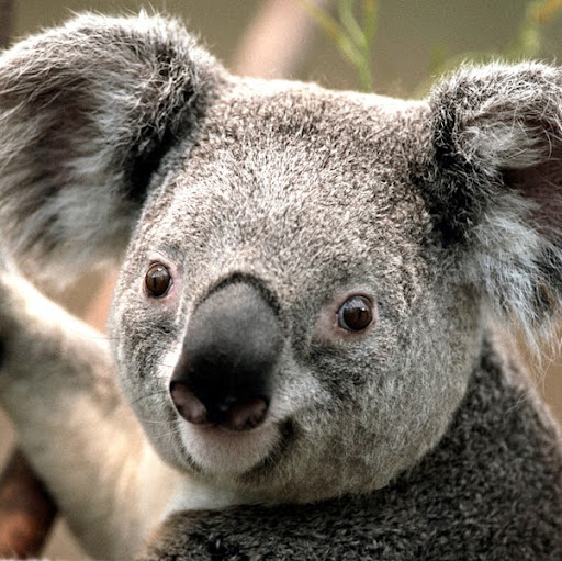 Cassandra Jennings Photo 12