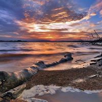 Patricia Burr Photo 14