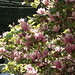 Jane Bloom Photo 7