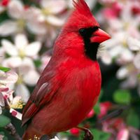 Anita Garza Photo 29