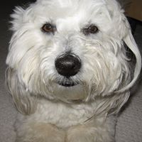 Susan Silverstein Photo 25