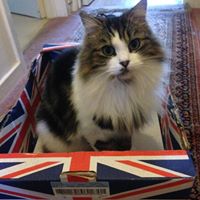 Sue Redding Photo 16