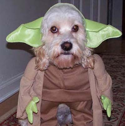 Rolando Gonzalez Photo 21