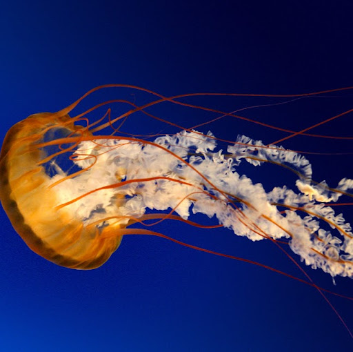 Aaron Densmore Photo 7