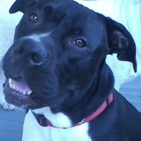 Charlie Waggoner Photo 18