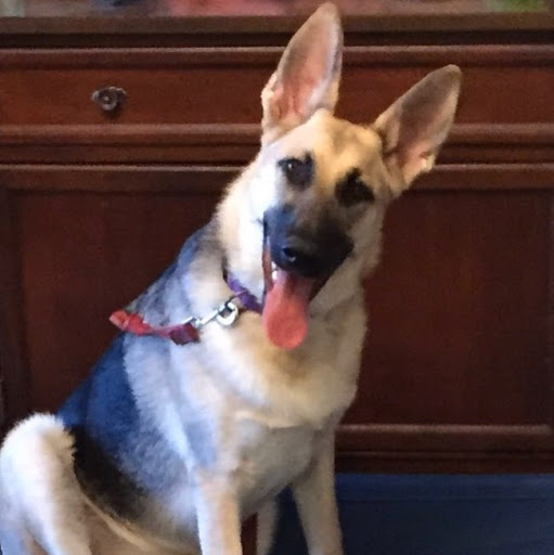 Janice Glass Photo 11