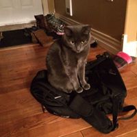 Margaret Slade Photo 10