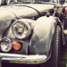 Dennis Alt Photo 16