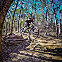 Lloyd Armstrong Photo 27