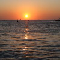 Rene Mitchell Photo 14