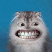 Jack Rutledge Photo 18