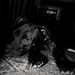 Effie Foster Photo 5