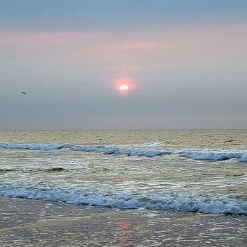 Jo Peterson Photo 21