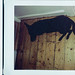 Annette Woody Photo 9