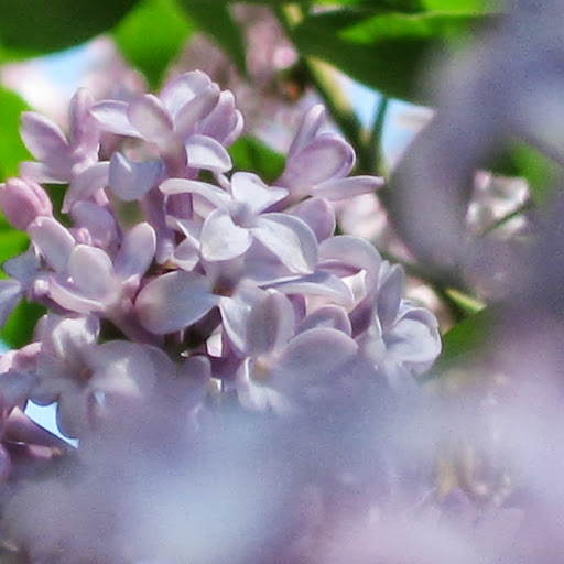 Sarah Kirby Photo 18 Sarah Kirby Photo 18