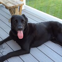 Lori Wroblewski Photo 9