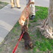Sandy Link Photo 26