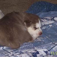 Philip Hicks Photo 19