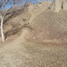 Eric Vaughn Photo 3