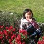 Ying Lu Photo 24