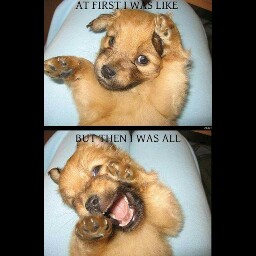 Angela Hazen Photo 7