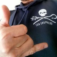 Bobby Timmons Photo 25 Bobby Timmons Photo 25