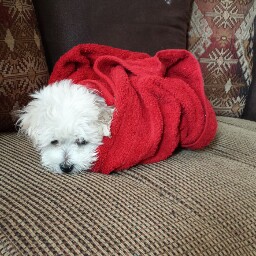 Nancy Manion Photo 8