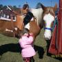 Suzanne Olson Photo 26