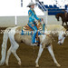 Philip Daly Photo 32