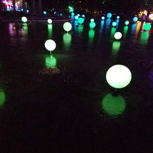 William Horton Photo 19