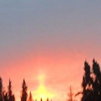 Stacey Clements Photo 5