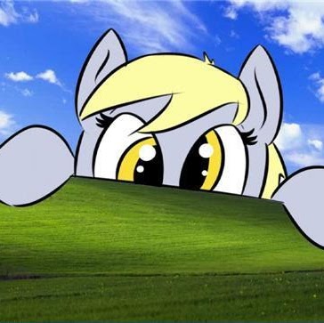 Todd Metcalf Photo 35