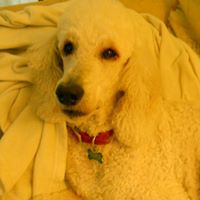 Kathleen Varga Photo 1