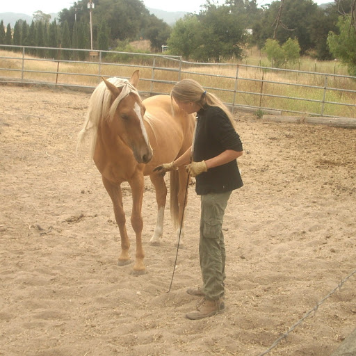 Tammy Golden Photo 11