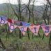 Doris Watson Photo 14